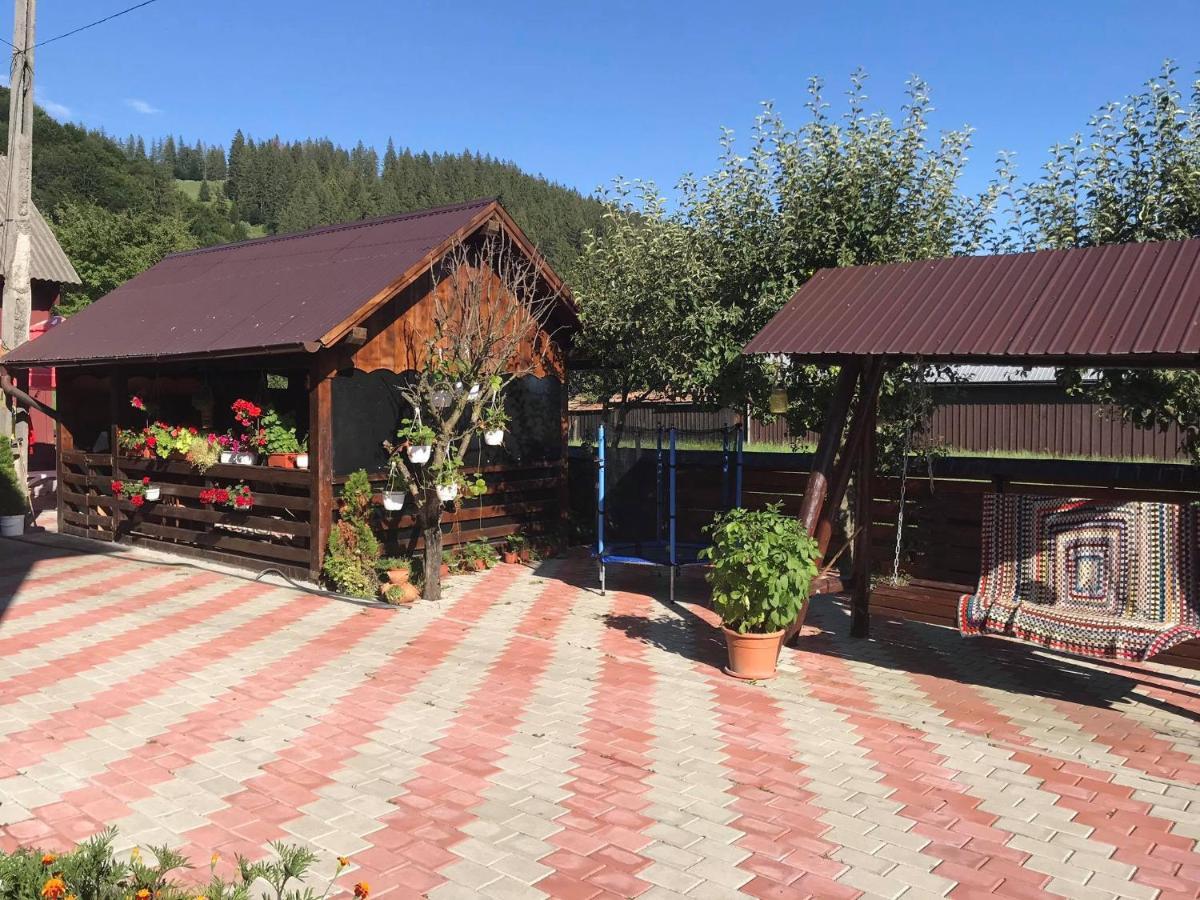 ホテル Casa Irina Mînăstirea Humorului エクステリア 写真