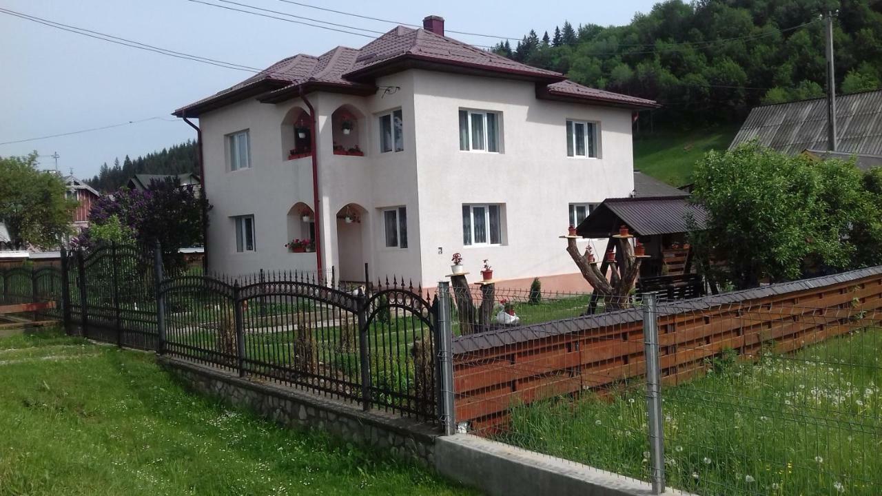 ホテル Casa Irina Mînăstirea Humorului エクステリア 写真