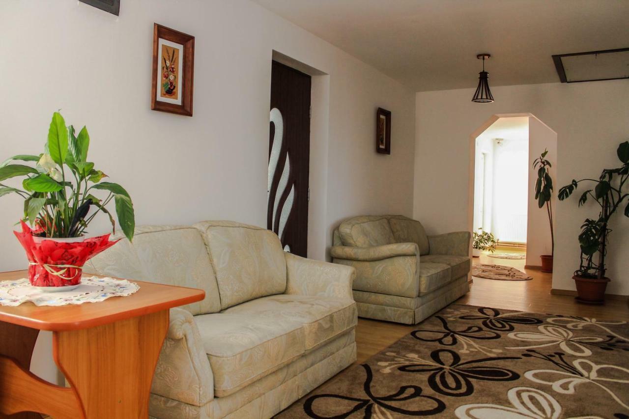 ホテル Casa Irina Mînăstirea Humorului エクステリア 写真